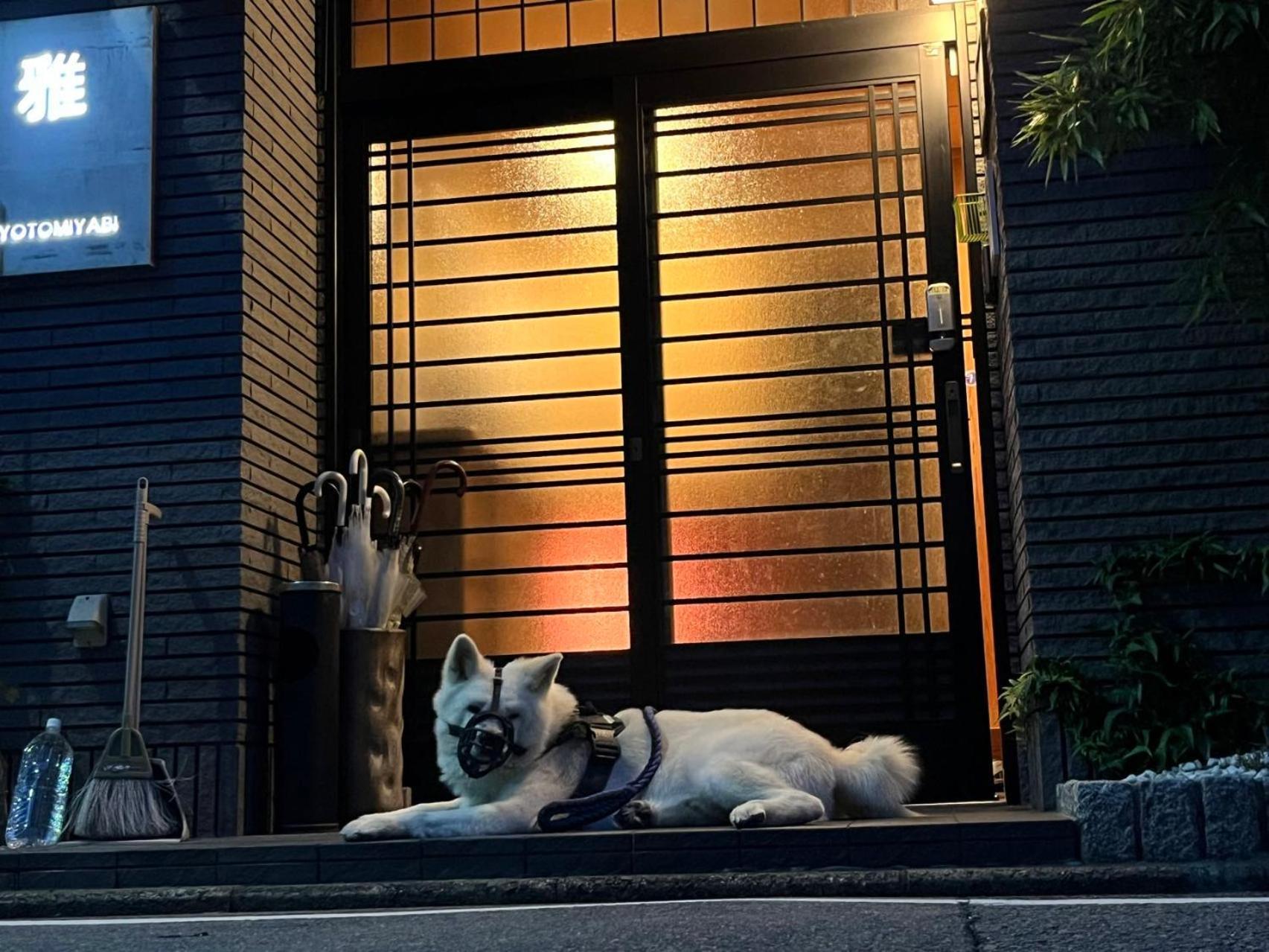 雅 Hotel Kyoto Exterior foto